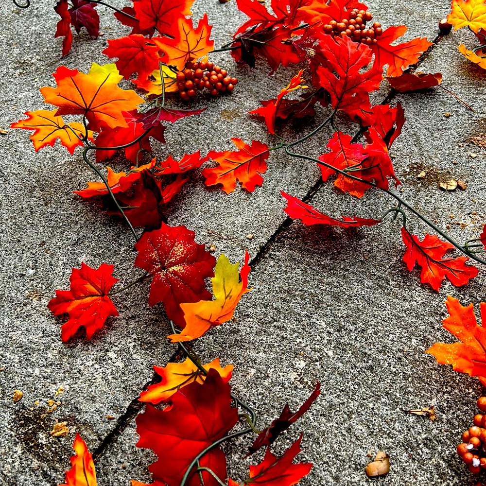 Fall leaves 25’ decoration